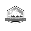 teakautoclaimsnm.com